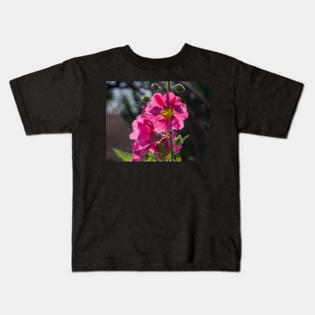 Pink Taos Hollyhock by Debra Martz Kids T-Shirt by Debra Martz